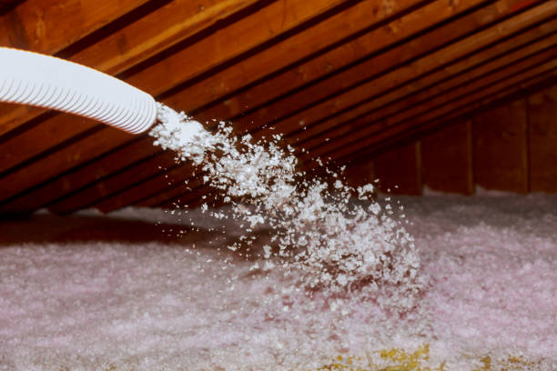 Best Specialty Insulation in Laguna Beach, CA