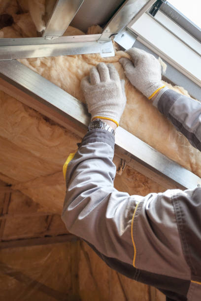 Best Types of Insulation in Laguna Beach, CA